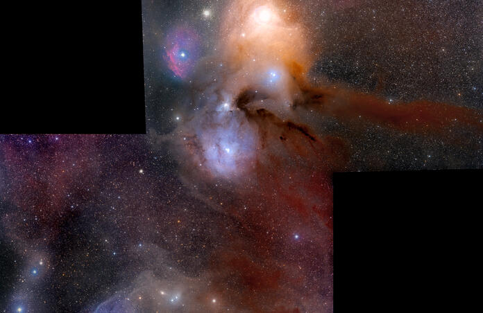 Rho Ophiuchi and Blue Horsehead Nebula