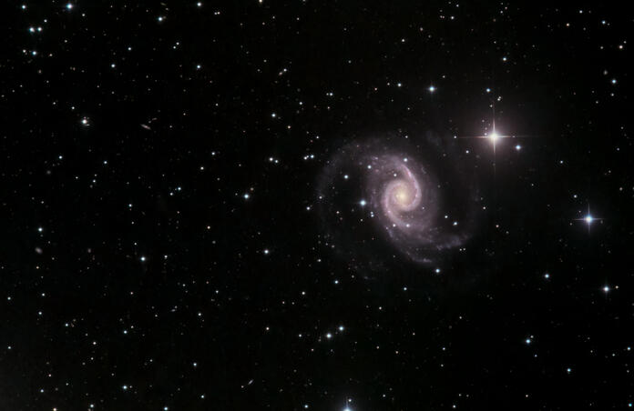 NGC1566