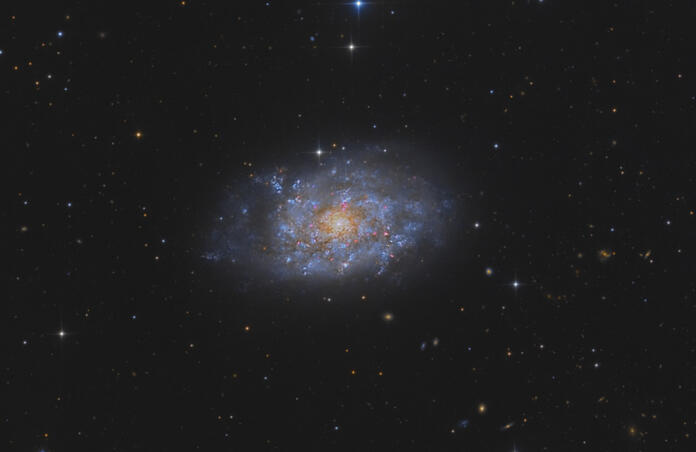 NGC 7793 CHI-1 Bundle