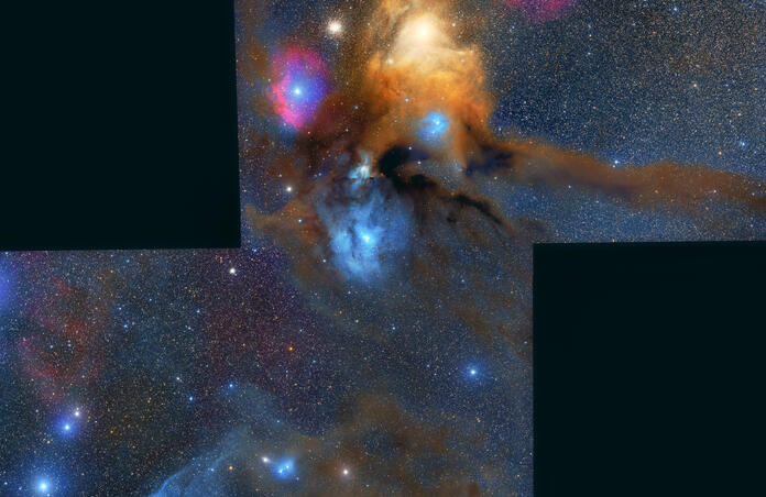 Rho Ophiuchi and the Blue Horsehead Nebula