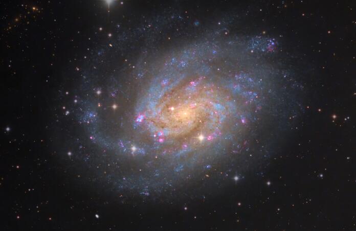 NGC300