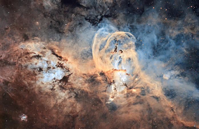 The Statue of Liberty Nebula - NGC 3576