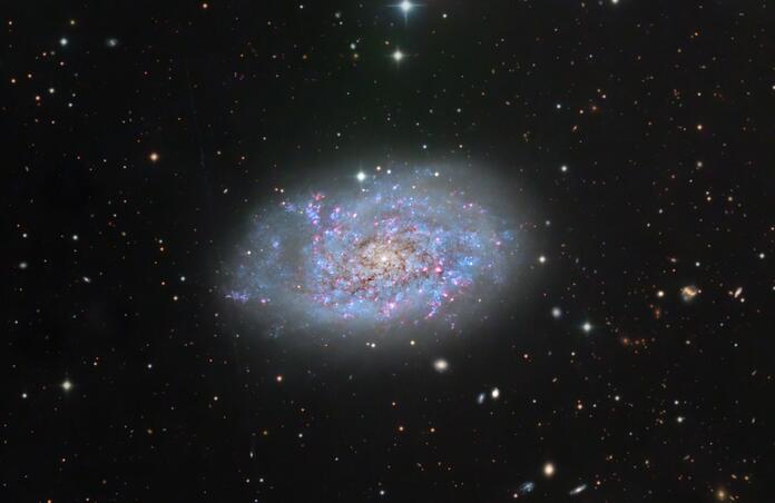 NGC7793