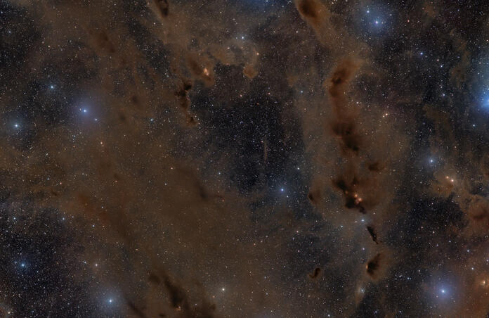B 22
