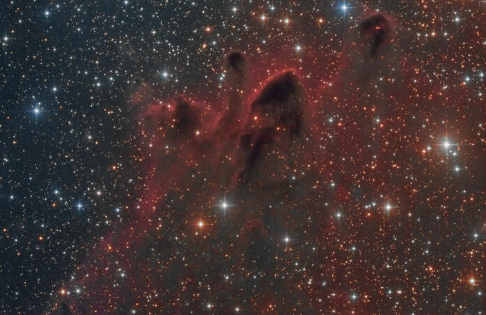 Cometary Globules CG 30-31