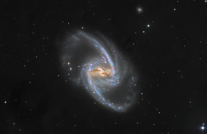 NGC1365