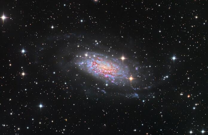 NGC 3621