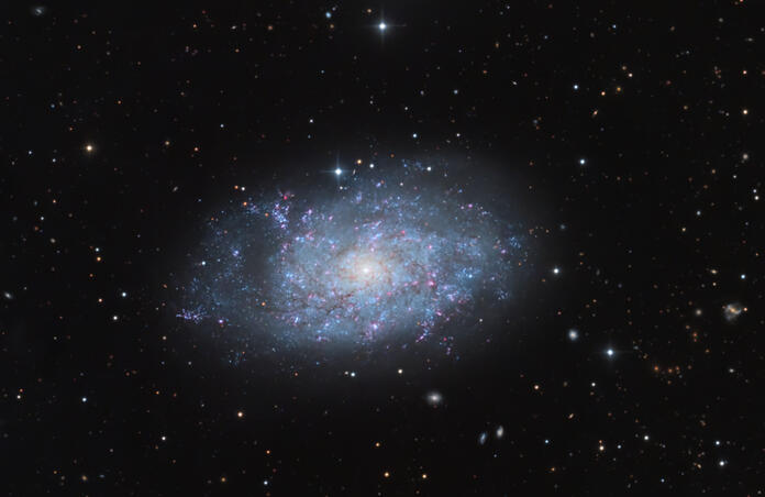 NGC 7793