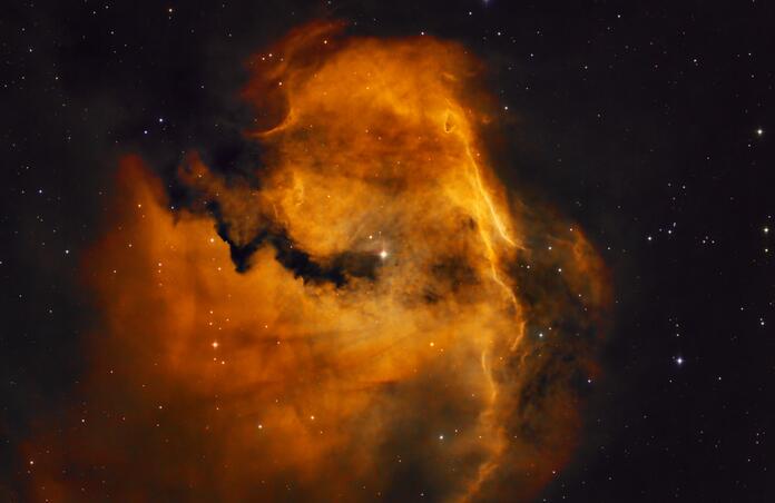 Seagull Nebula SHO