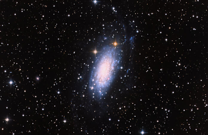 NGC 3621 