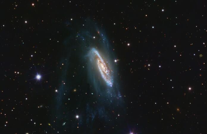 NGC3981