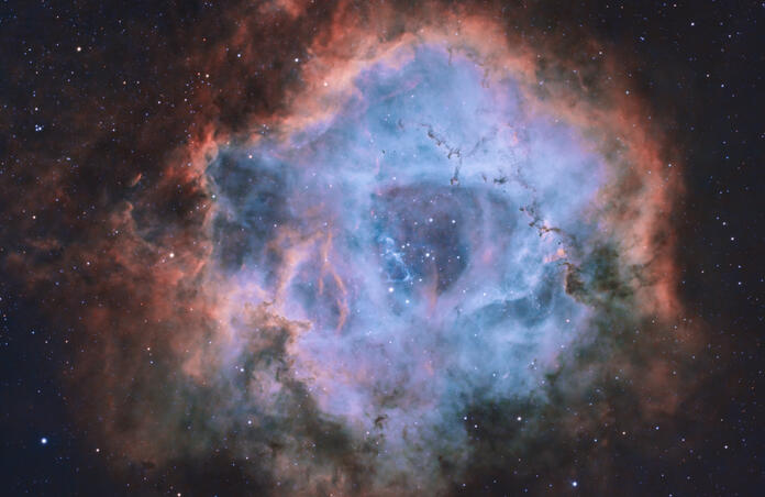 Rosette Nebula (HSO) 