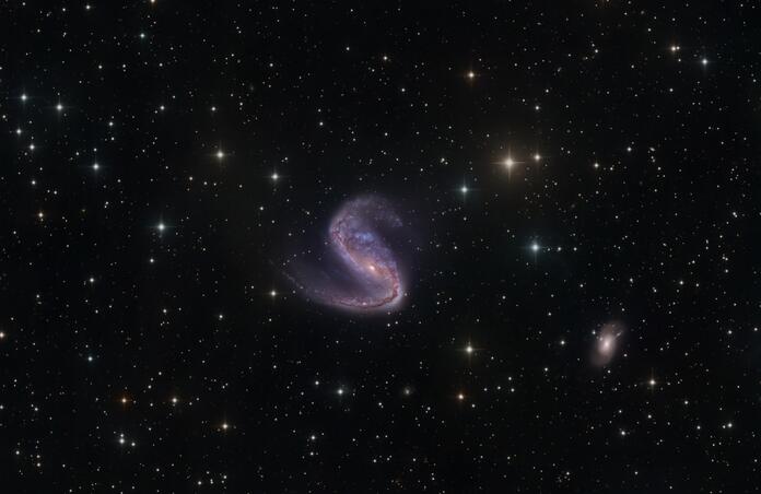 Cobra and Mouse (NGC 2442, 2443)