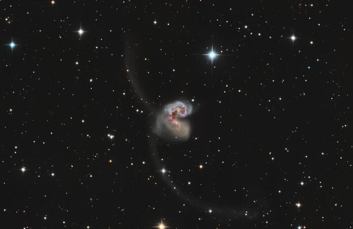 Antennae Galaxy (NGC 4038)