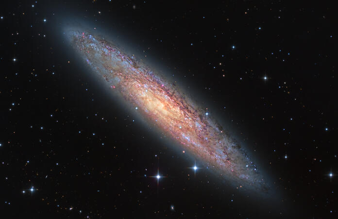 NGC 253 - The Sculptor Galaxy