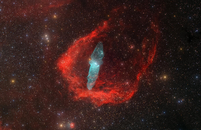 Squid and Flying Bat Nebula