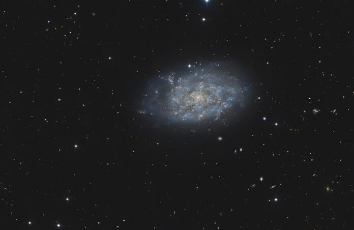 NGC 7793 Telescope Live