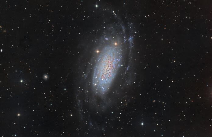NGC3621