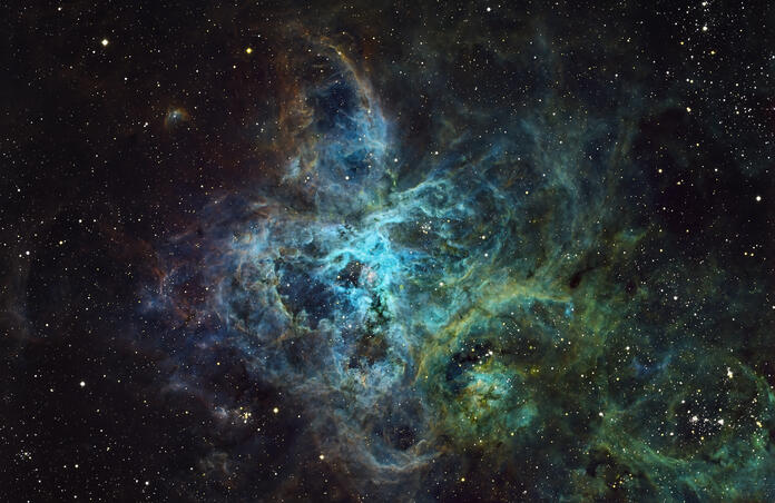 Tarantula Nebula (SHO)