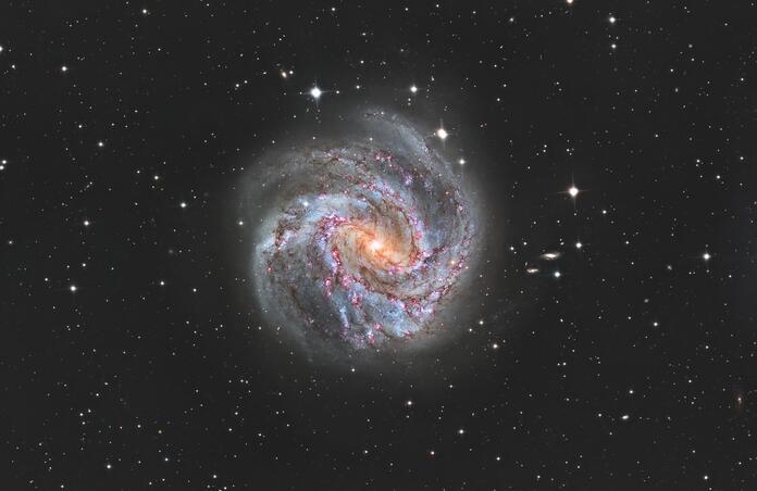 M83