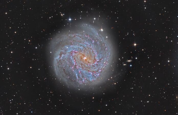 M83