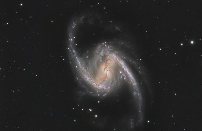 NGC 1365