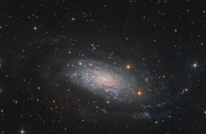 NGC 3621