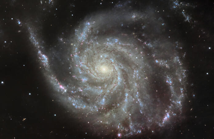 M101 and Supernova