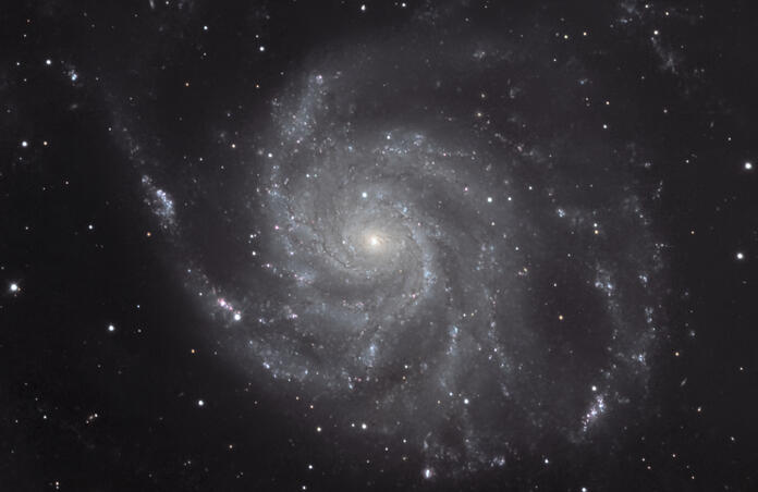 M101 with Supenova 2023IXF