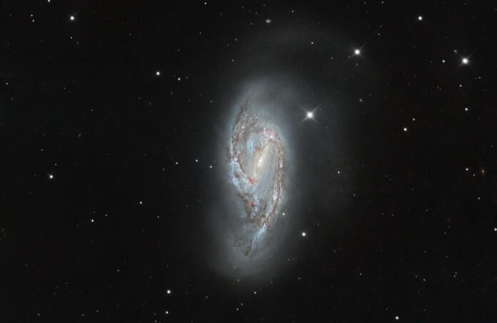 M66