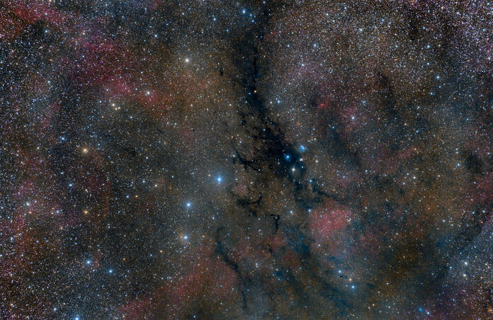 V1331 Cygni Wide Field 