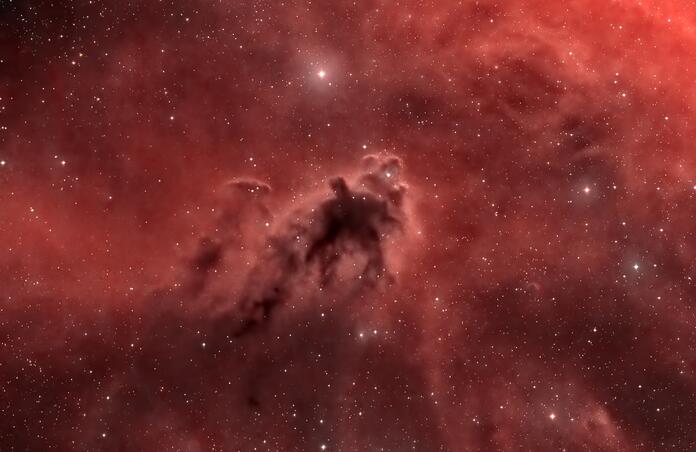 LDN1622; aka Boogeyman nebula (Custom HOO Tricolor blend)