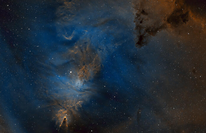 NGC 2264