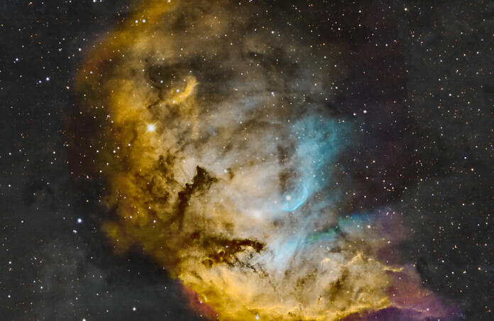 Tulip Nebula (Sh2-101)
