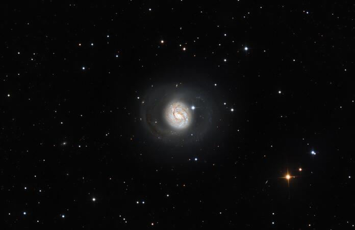 M77 (Squid Galaxy)