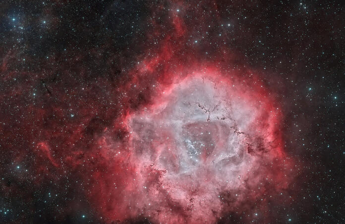 A Rose in Space (Rosette Zoomed In)