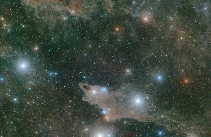 LDN 1235 the shark nebula