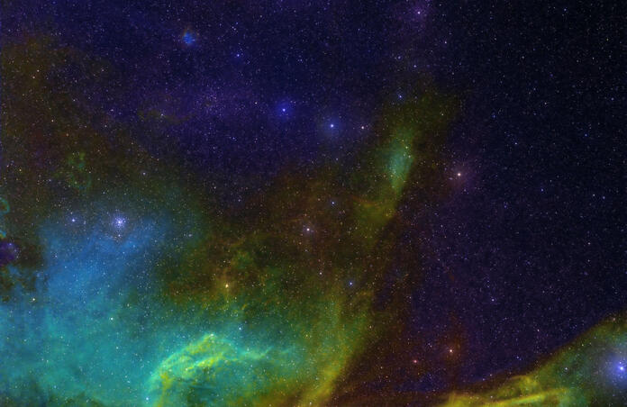 LDN-1667 Dark Nebula in Canis Major
