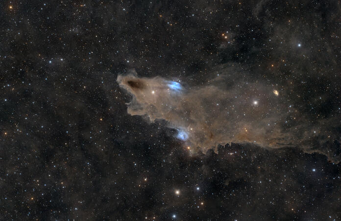 LDN 1235, the Shark Nebula,