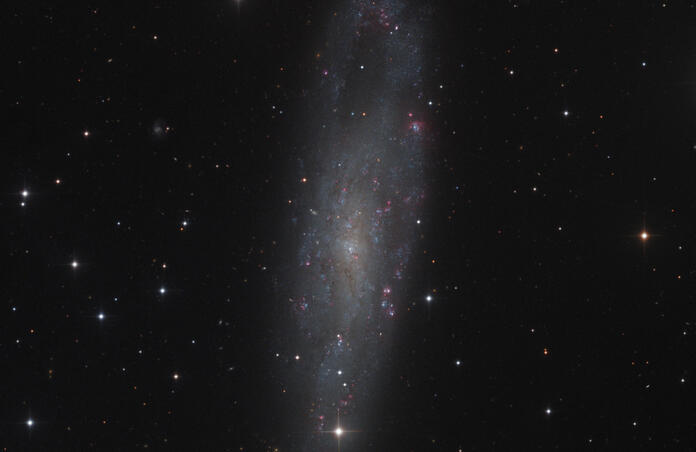 NGC 247