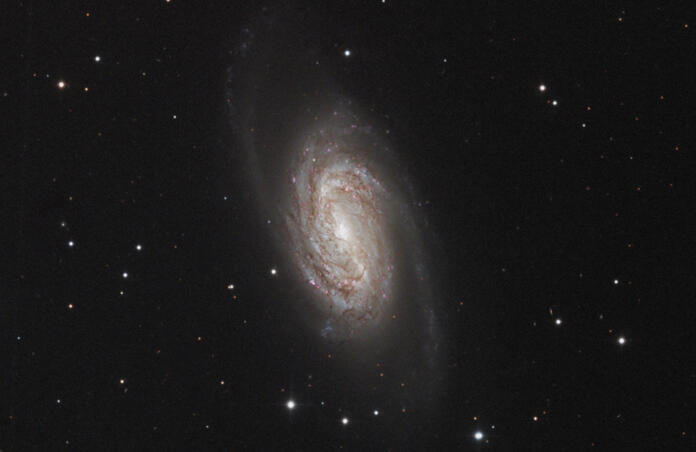 NGC 2903
