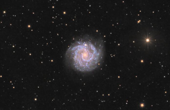 NGC 3184 Ron Brecher