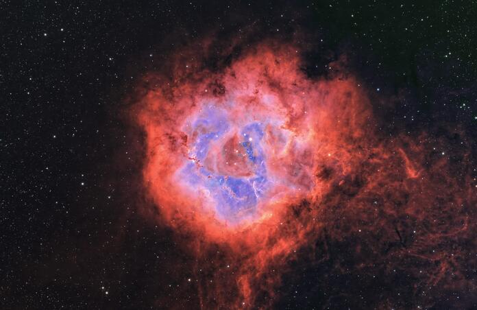 The Rosette Nebula.