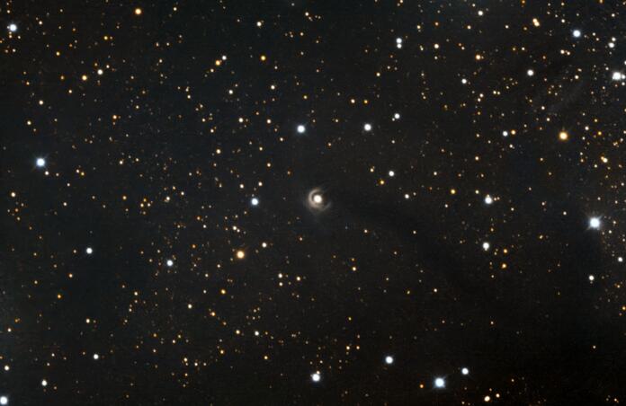 V1331CYGNI