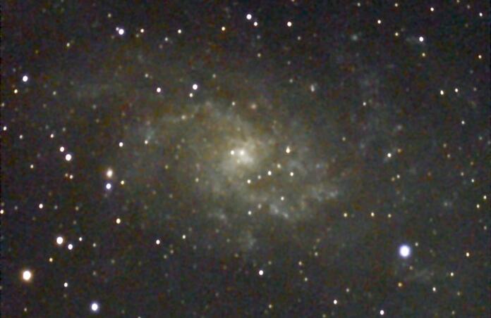 M33