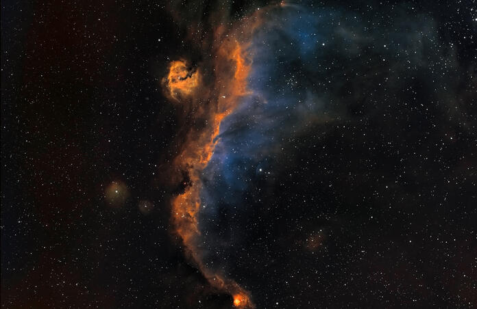 IC2177 aka Seagull nebula...