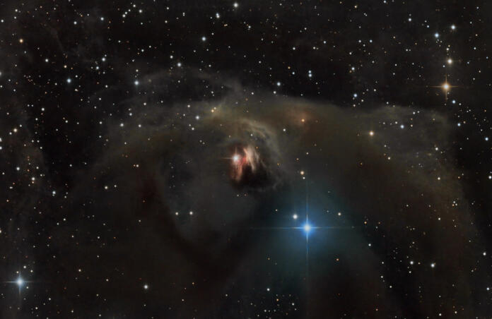 NGC1555