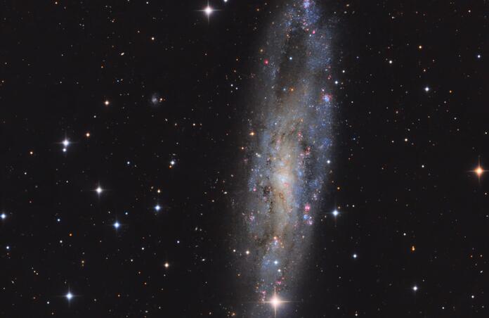 NGC247