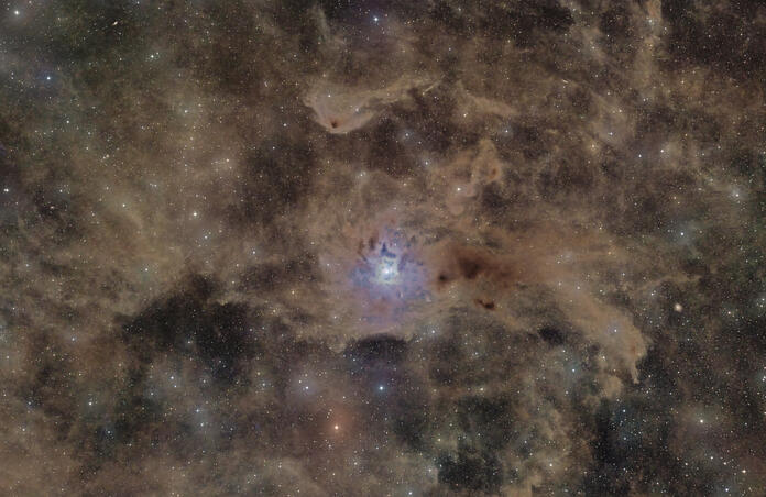 Iris nebula NGC7023