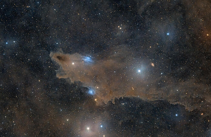 LDN 1235 - The Shark Nebula